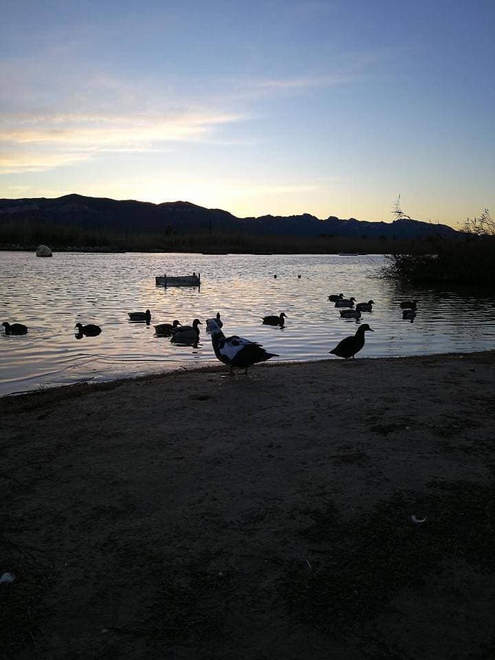 Foto 7 von 86: Holiday Home