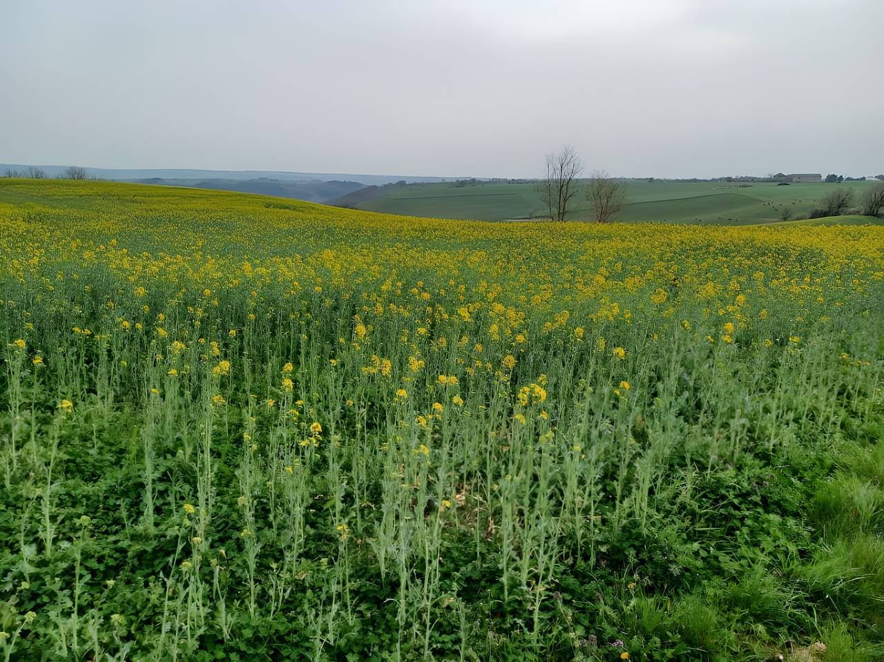 Foto 6 von 24: Gästezimmer „La Ferme Du Marronnier“ mit privater Terrasse, Gemeinschaftsgarten und WLAN