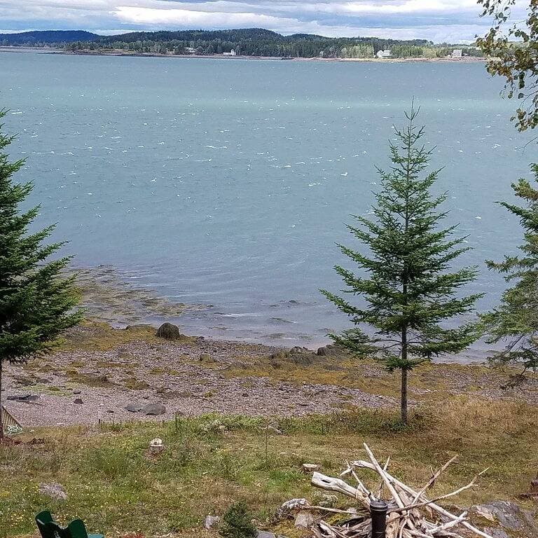 Foto 2 von 47: Tiny cabin Big Charm/Full refund up to 1 day out/Fire pit/ Beach/No pet fee