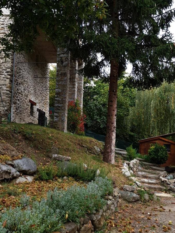 villa pura vida 1