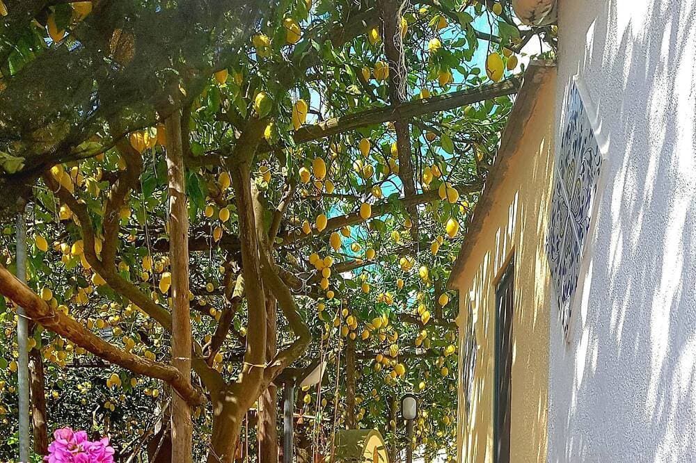 Foto 8 von 30: Limoneto di Lulù, Urlaub unter den Zitronen!