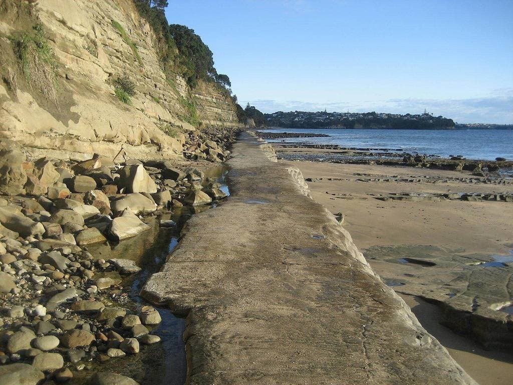 Foto 8 von 46: Küstenstudio in der schönen Mairangi Bay