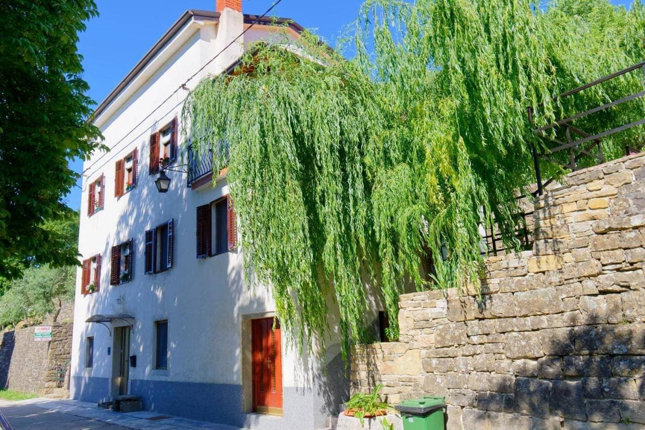 Apartments Smile by Rent Istria 1