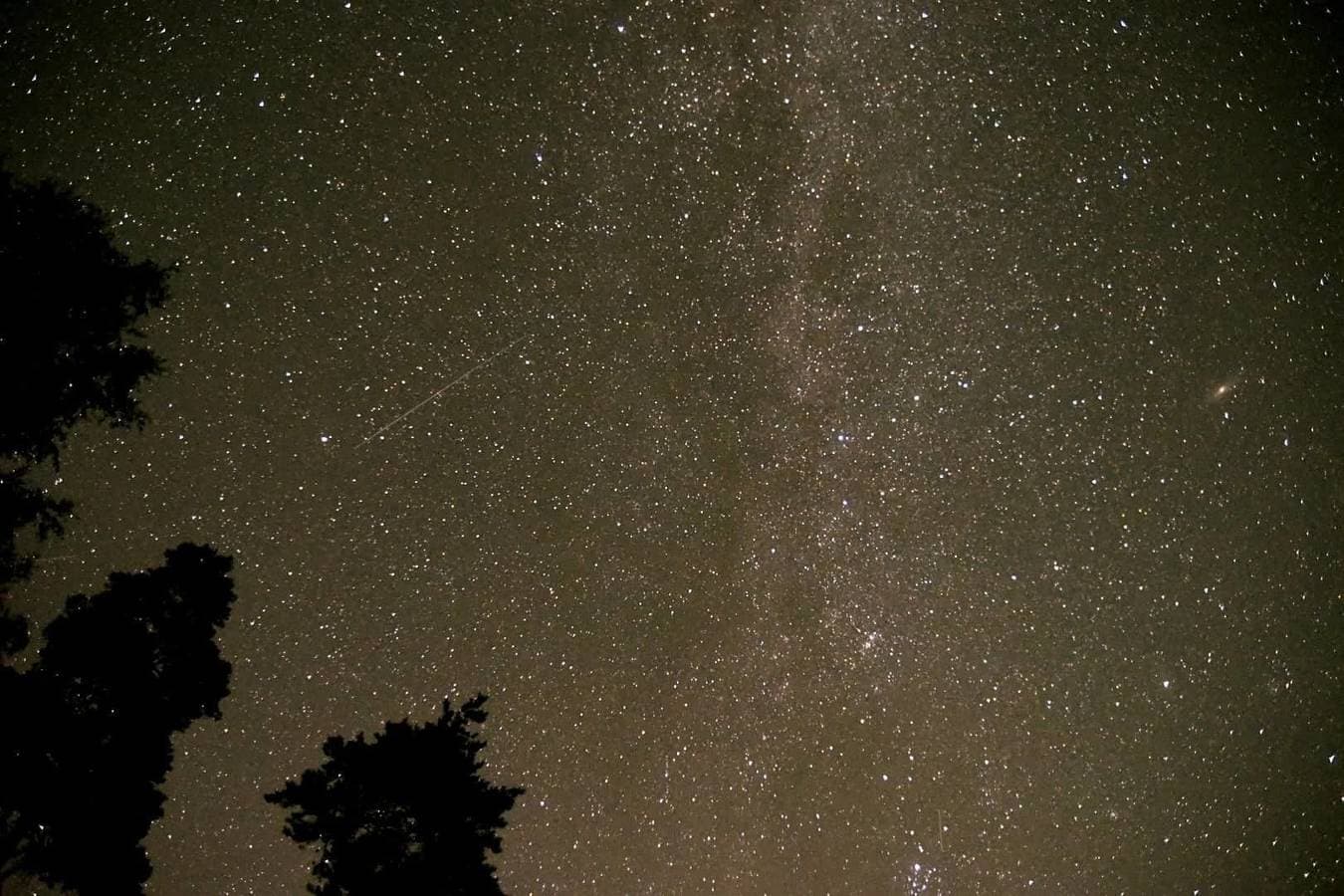 Foto 5 von 25: Wunderschönes Feriengrundstück mit Alleinlage im Wald