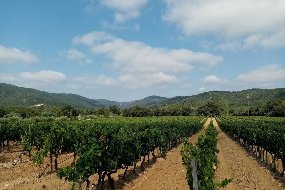 Foto 12 von 21: Charmante 2-Zimmer-Wohnung zu vermieten im Herzen der Weinberge