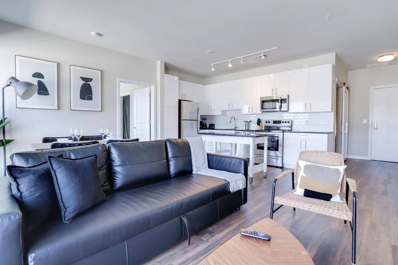 Spacious Apartment in Alexandria 1