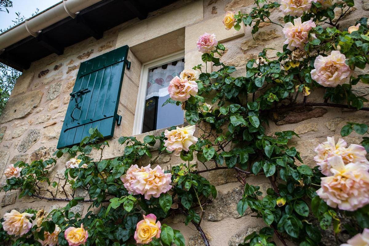 Foto 4 von 23: Beune