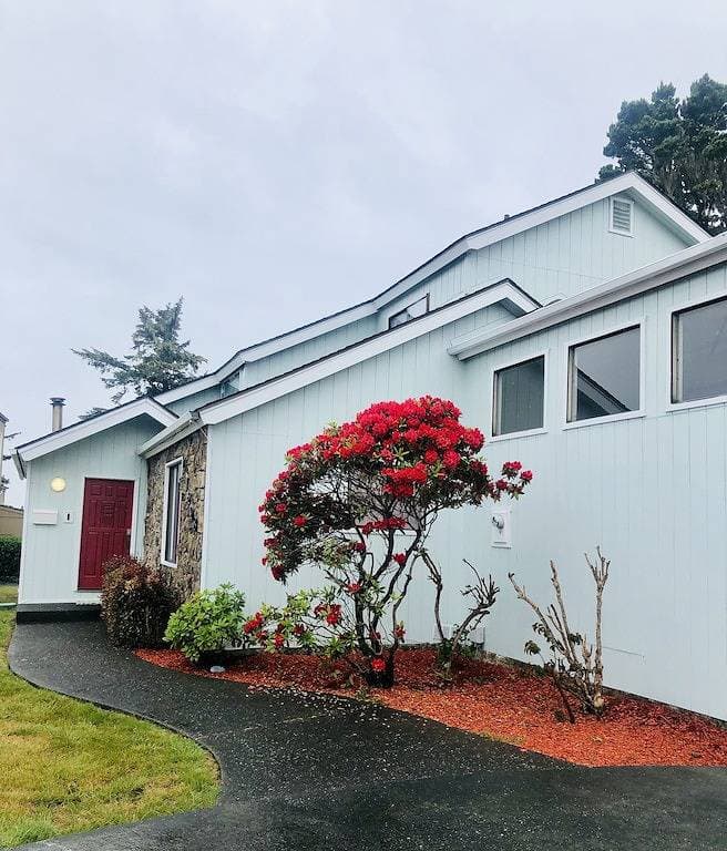Foto 13 von 48: Oceanfront Bluff Home - Whale Watching, Redwoods, Wood Stove & Pet Friendly