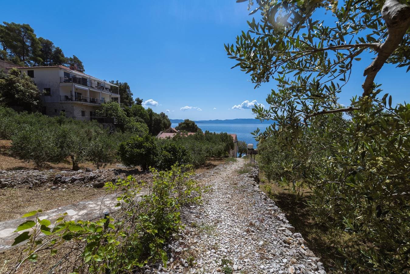 Foto 9 von 27: Studio Appartement mit Terrasse und Meerblick Bucht Torac, Hvar As-24462-a