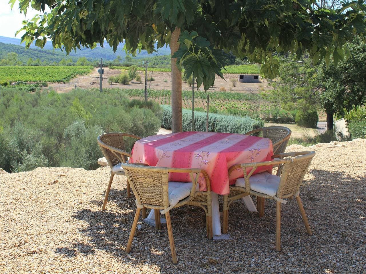 Villa in Provence mit Pool und Weinbergblick 1