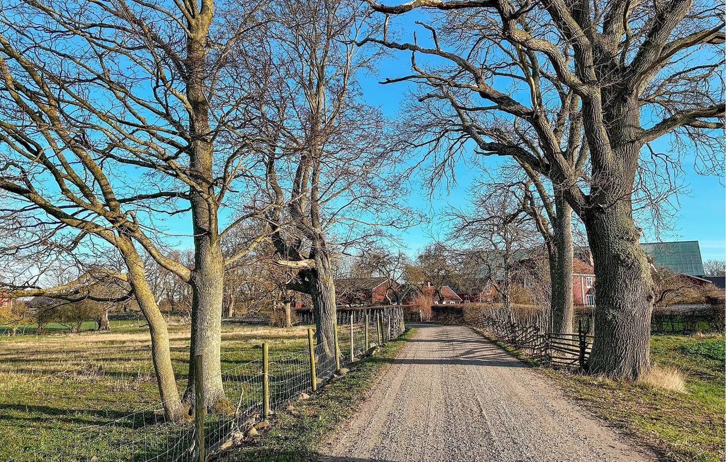 Foto 6 von 14: Ferienhaus für 4 Personen mit Garten