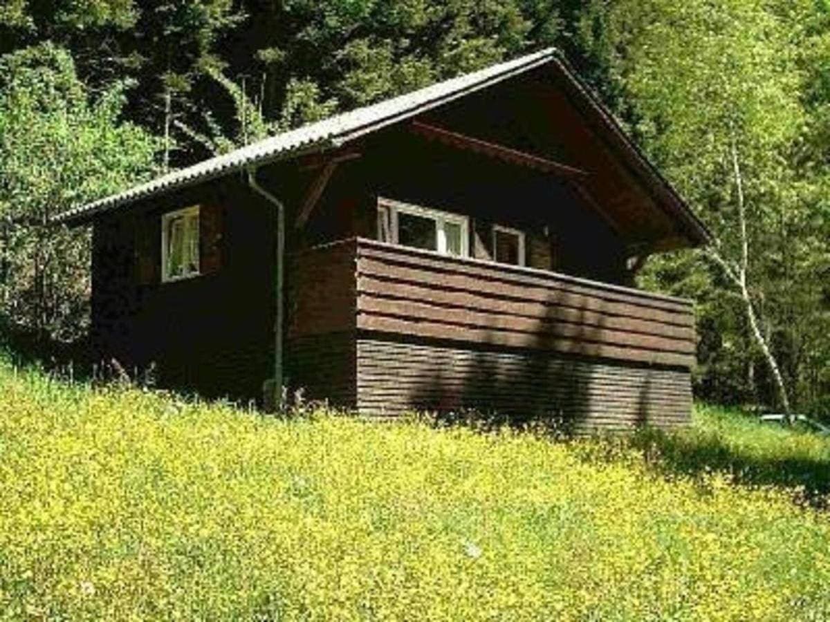 Ferienhaus Arthurhütte in Hohenweiler 1