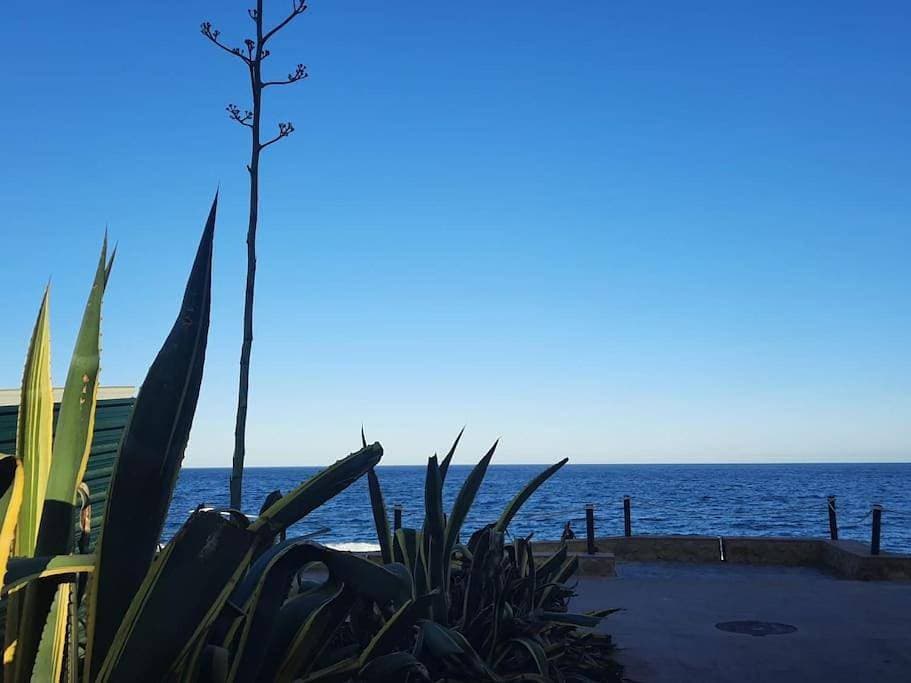 at jardines del mar 1