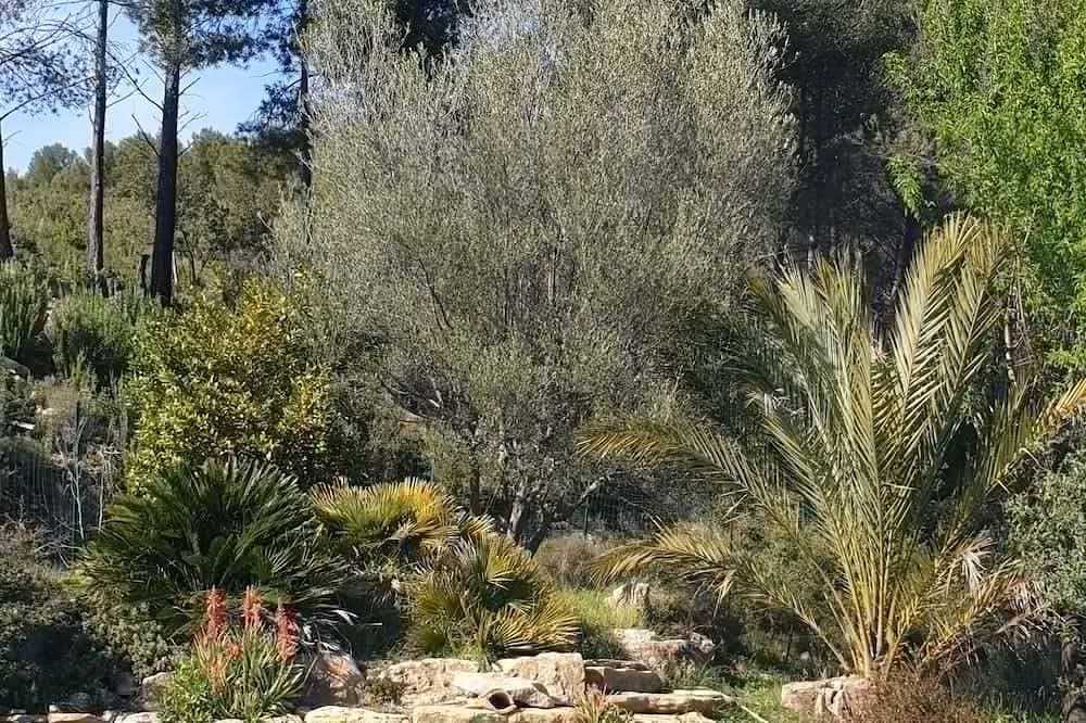 Mas Provençal, privater beheizter Pool, Spa, absolute Ruhe 1