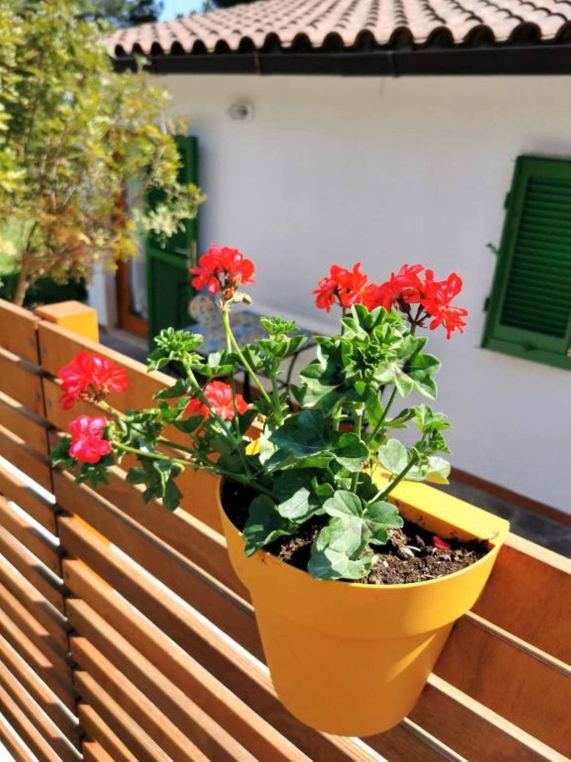 Foto 6 von 17: Ferienwohnung für 2 Personen mit Garten