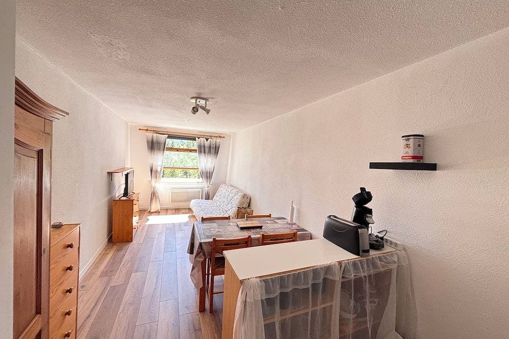 Apartment sleeps 4 resort center la foux d'allos 1