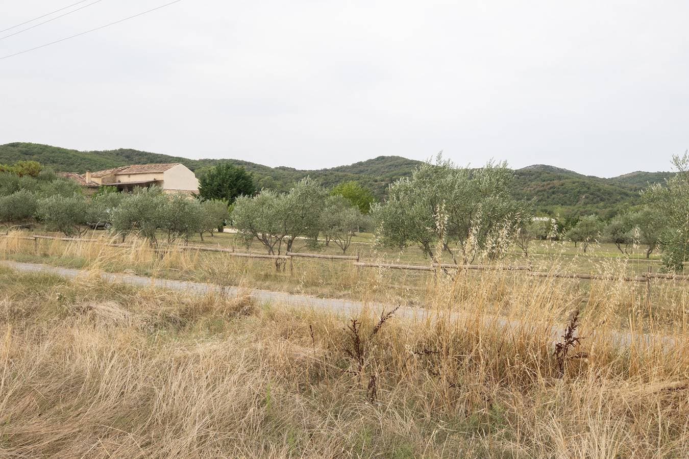 Foto 3 von 18: Gîte 'La Bergerie - Le Mas De Peyraube' mit Gemeinschaftspool, Garten und WLAN