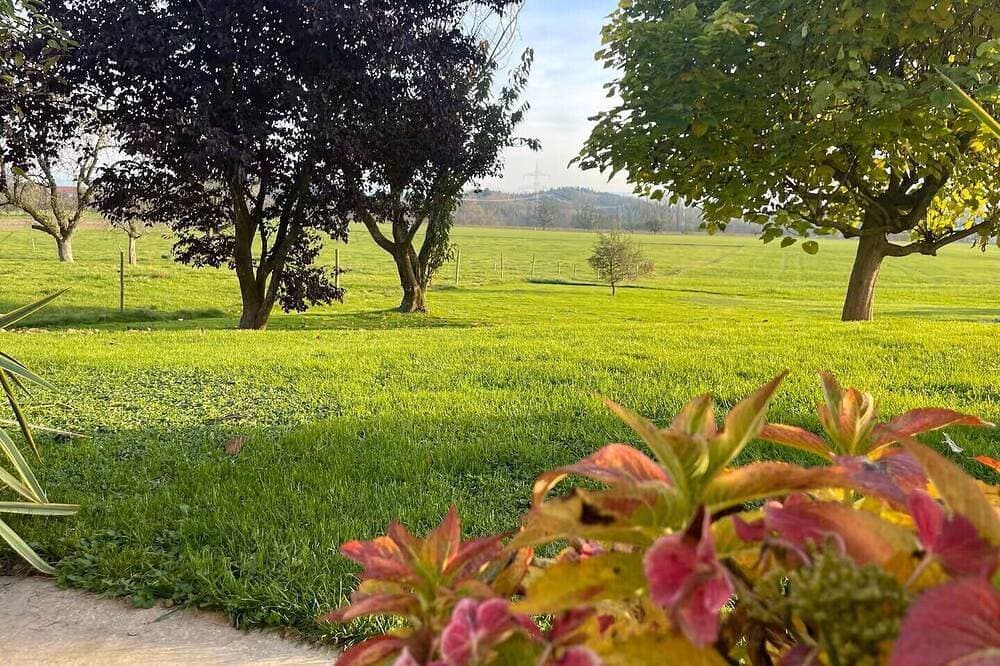 Foto 9 von 24: FeWo - Natur, Ruhe und Erholung