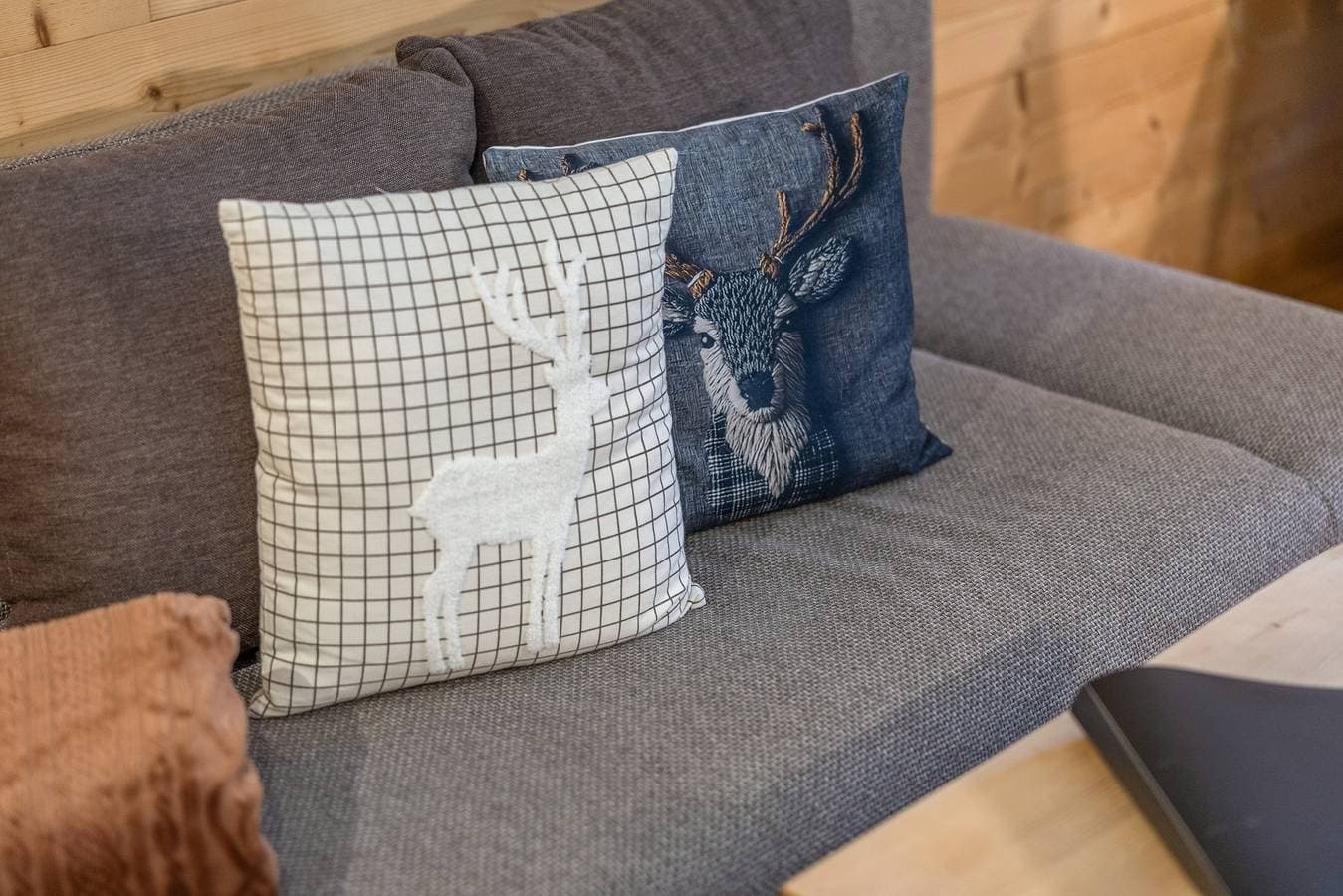 Foto 5 von 40: Ferienwohnung 'Kanisfluh' mit Gemeinschaftsgarten und Wi-Fi