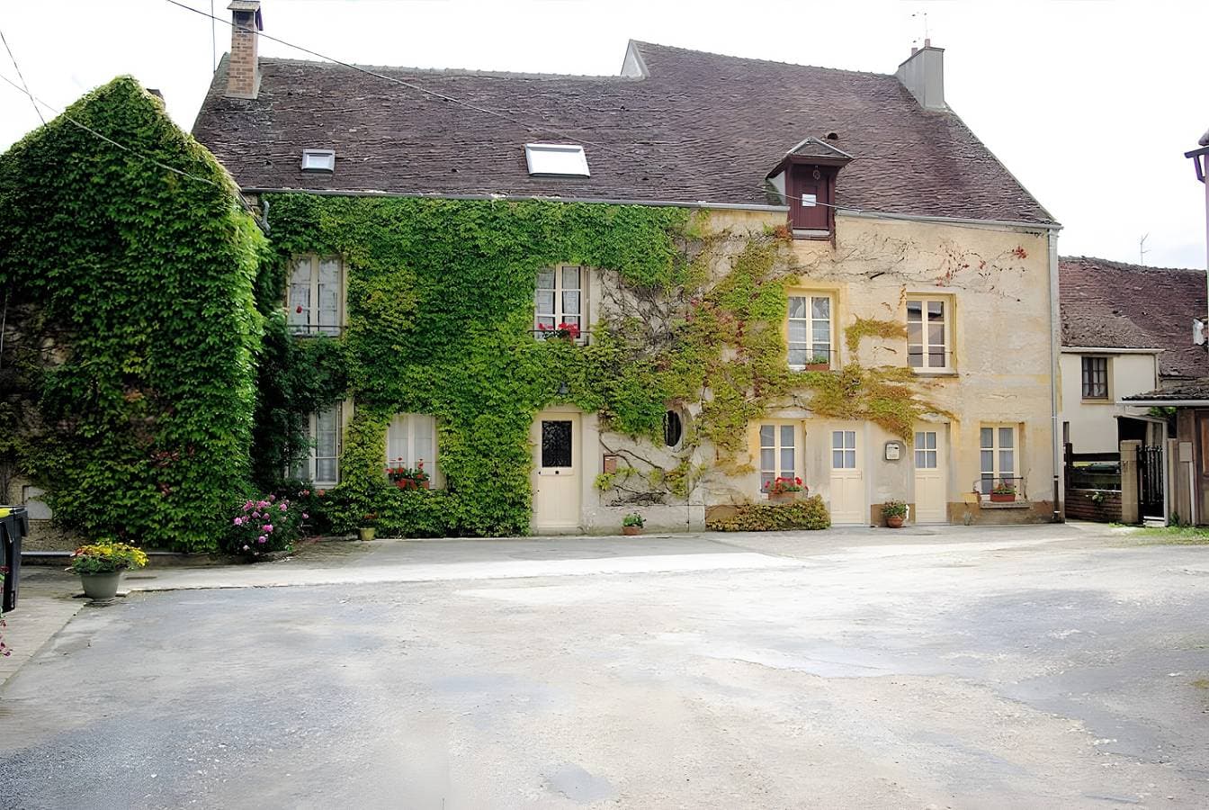 La Vigne Vierge 1