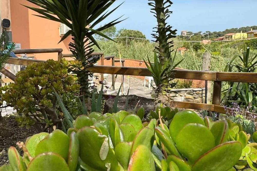 Foto 5 von 19: Casa Bruno - Studio Wohnung, Schläft 4