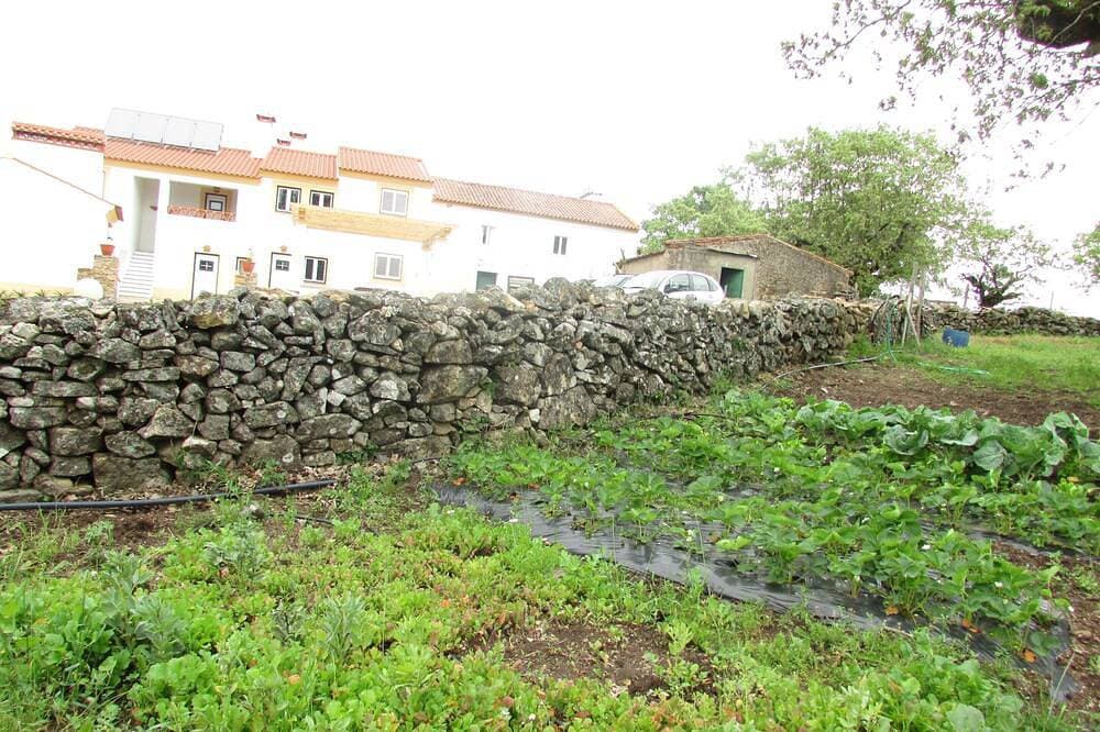 Foto 9 von 24: Casa da Oliveira - Landhaus in Quinta da Eira Velha - Marvão - Portalegre
