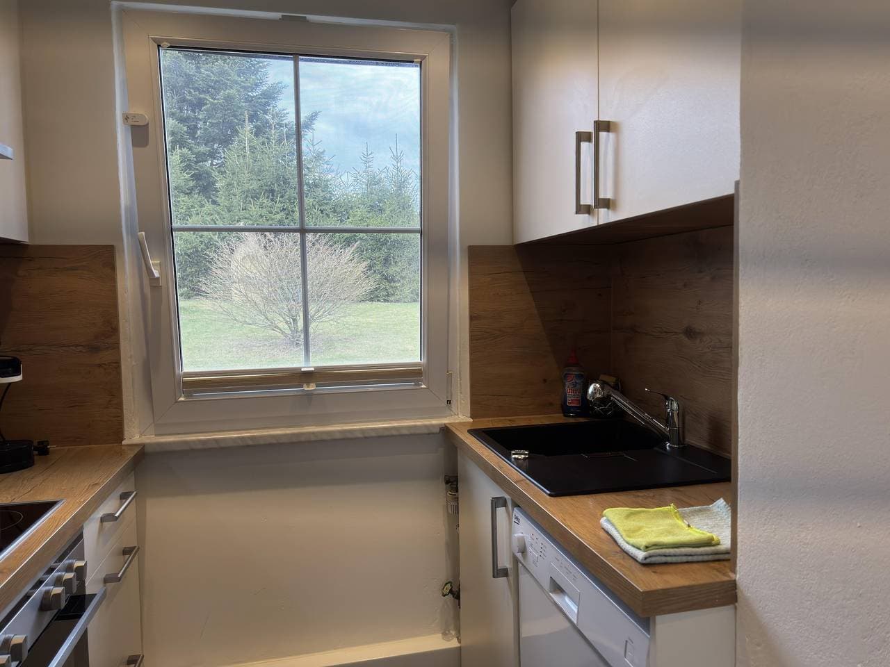 Foto 9 von 31: Ferienhaus Max mit Kamin in Thale-Friedrichsbrunn