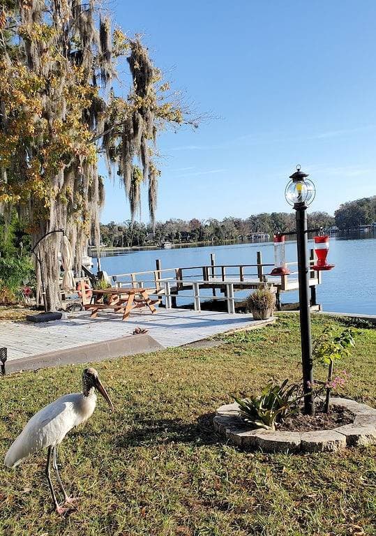 Foto 13 von 51: Homosassa Riverfront Retreat - Relax & Enjoy!