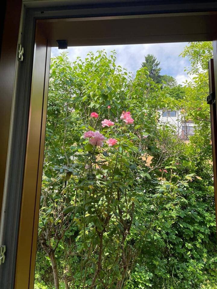Foto 10 von 25: Apartment