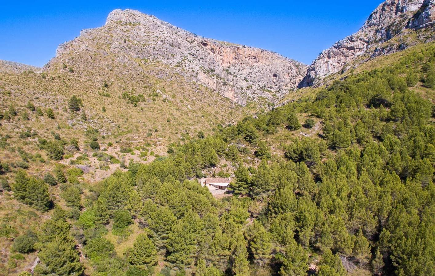 Foto 9 von 29: Wohnung mit Meerblick 1,5 km von Platja de Colonia de Sant Pere