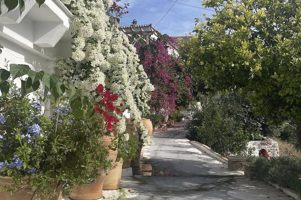 Foto 7 von 13: Karen’s Mikro Spiti, Poros.
