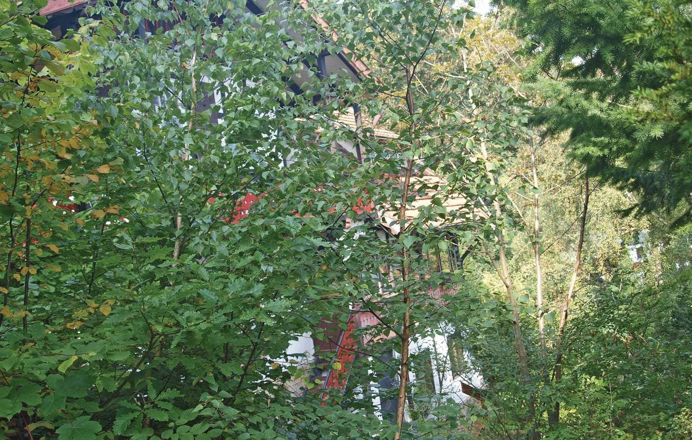 Foto 10 von 28: Gemütliche Ferienwohnung mit Terrasse, Parkplatz und Satelliten-TV - 2km nach Cattenstedt