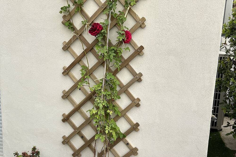 Foto 11 von 30: Lavendel Unterkunft zu Füßen der Türme