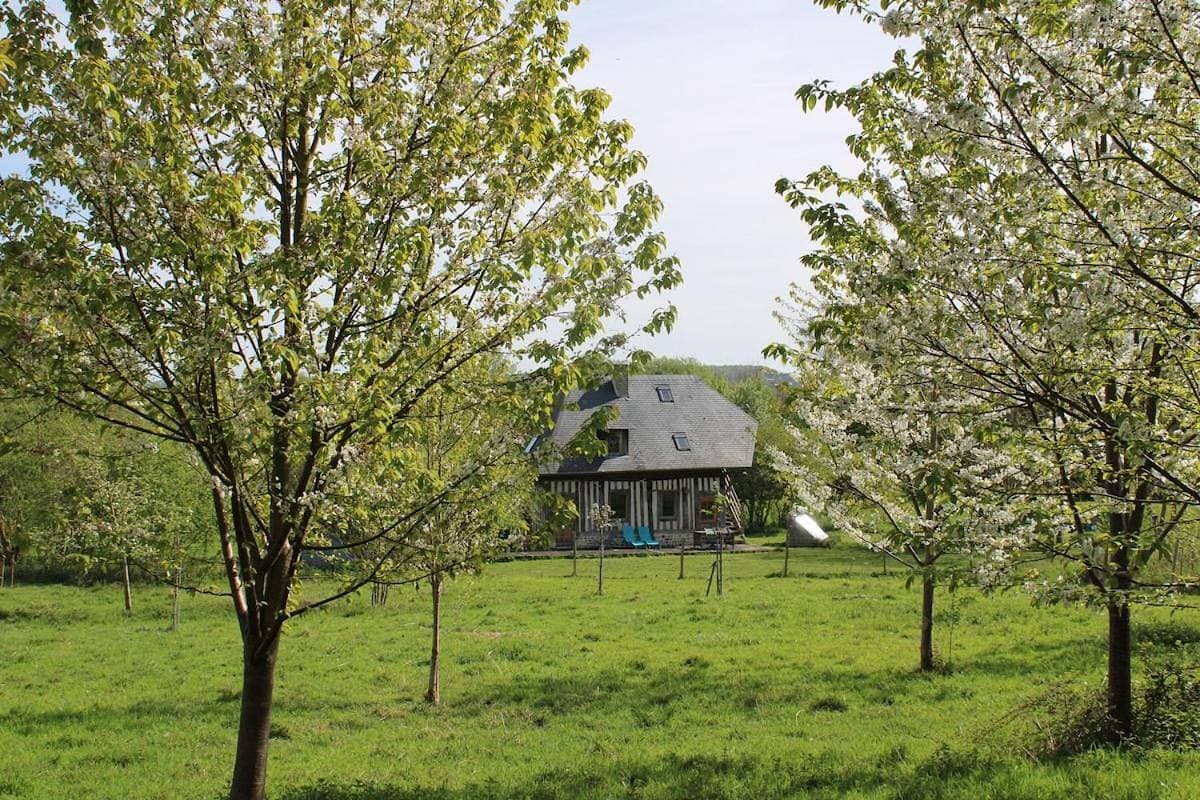 Foto 10 von 33: Three-Bedroom House