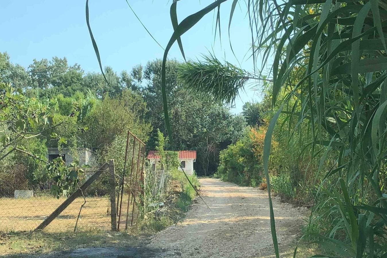 Foto 10 von 30: Charmanter Rajana Bungalow