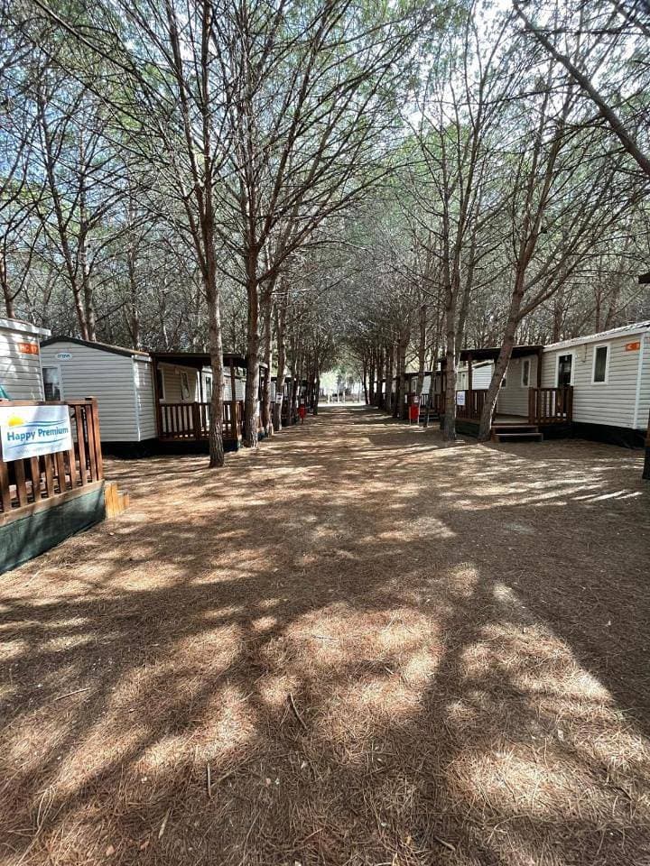 Foto 7 von 15: Premium Mobile Home