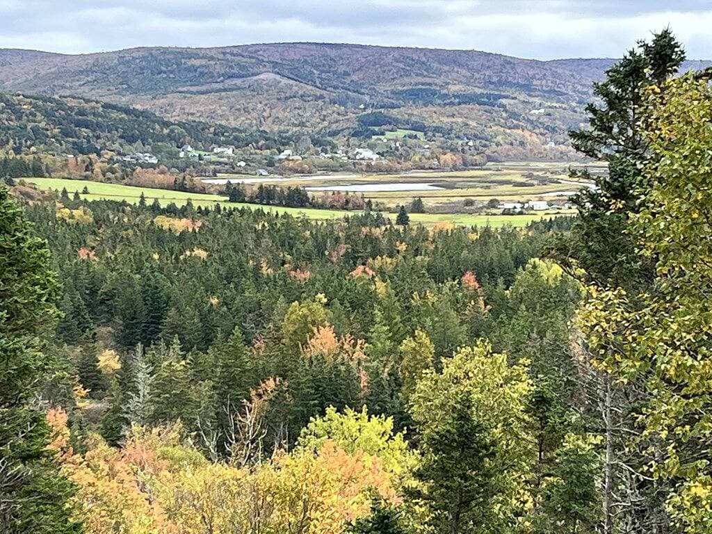 Margaree-a-ville Cottage 1