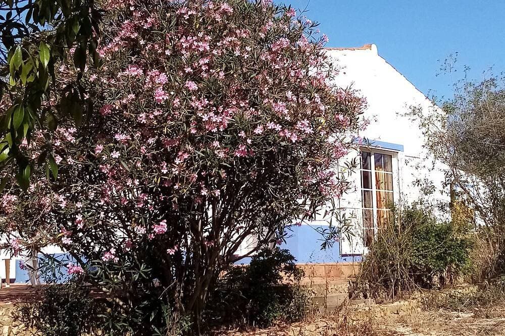 Foto 10 von 21: Ein Ferienhaus Auf Dem Land