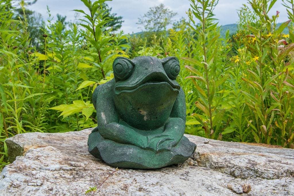 Foto 9 von 18: Einzigartige Unterkunft in der Wildnis