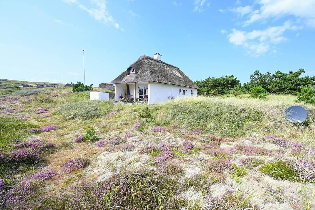 Süßes Reetdachhaus direkt in den Dünen – ganz nah an der Nordsee und am Strand 1