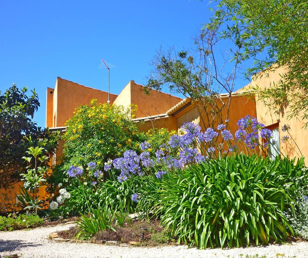 Foto 6 von 27: Quinta Sonhos, für romantische Naturfreunde, Lagos