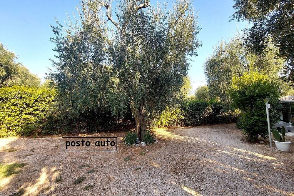 Foto 13 von 30: Zweizimmerwohnung am sehr schönen Meer in Mattinata, Gargano
