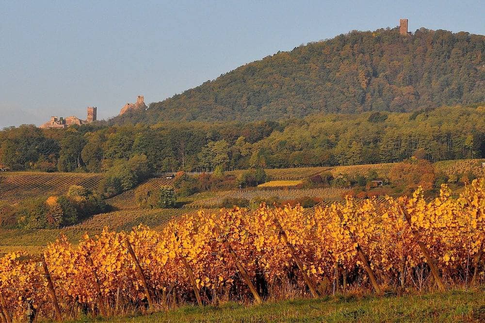 Foto 11 von 16: Typische Wohnung im alten Haus Wein