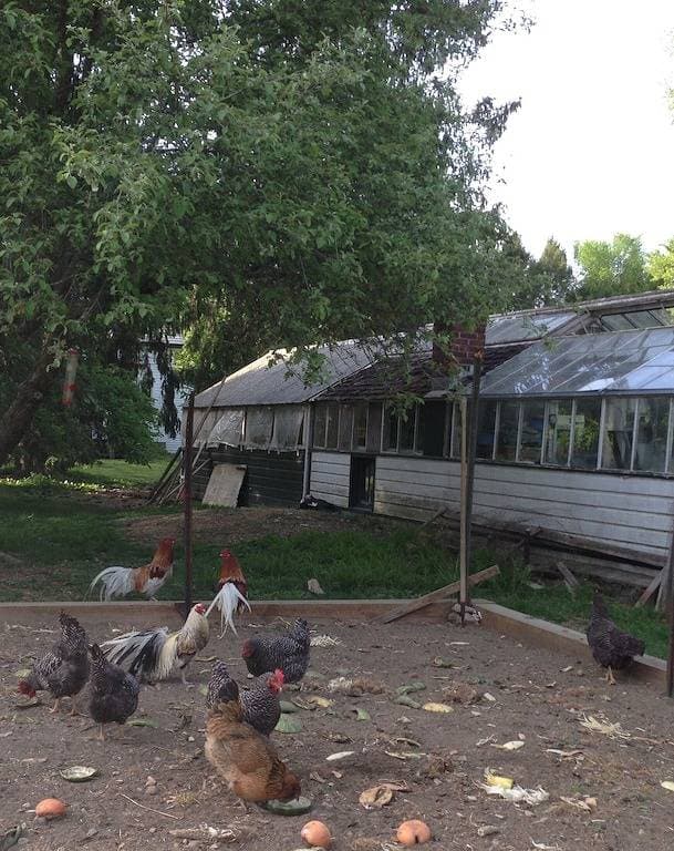 Foto 10 von 23: Gemütliches Bauernhaus mit 1 Schlafzimmer