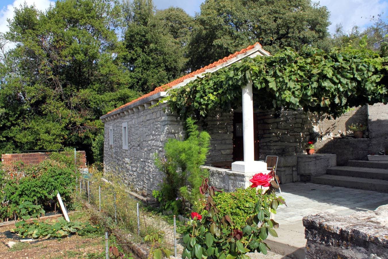 Foto 2 von 24: 1-Zimmer-Haus mit Terrasse Zrnovo, Korcula K-4876