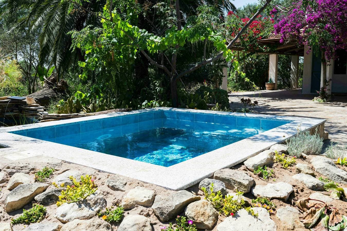 Foto 2 von 16: Haus mit Swimmingpool und einem Garten voller Obstbäume