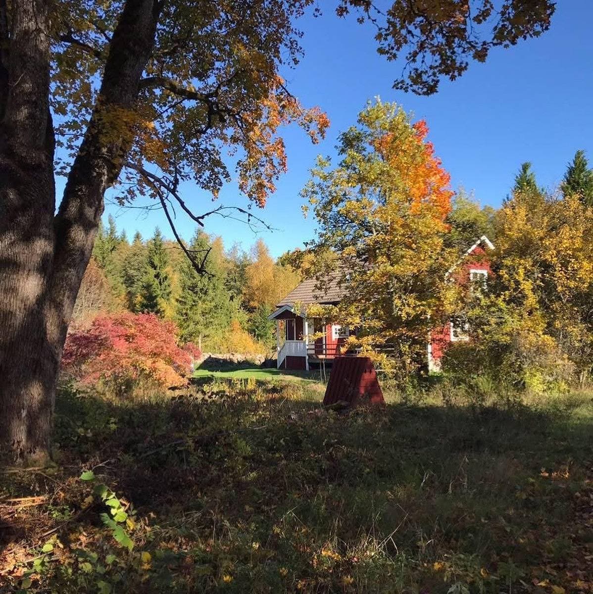 Malerisches Ferienhaus in den Småländischen Wäldern unweit vom See 1