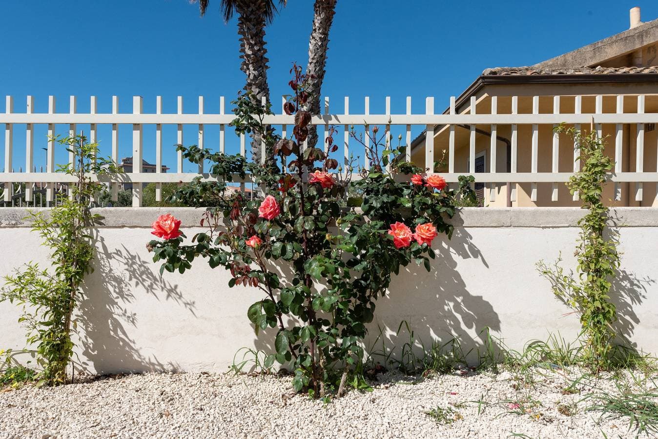 Foto 7 von 58: Lovely Family Villa in Modica