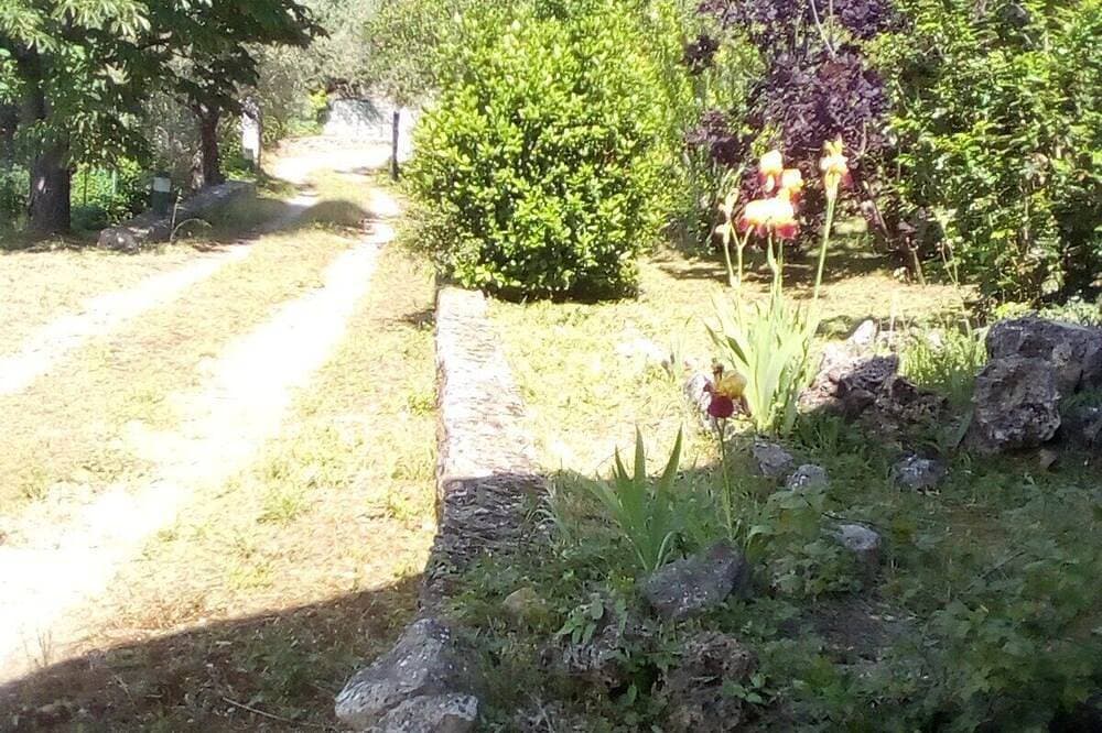 Foto 12 von 22: Grün Zeder. eine Konserve Umwelt