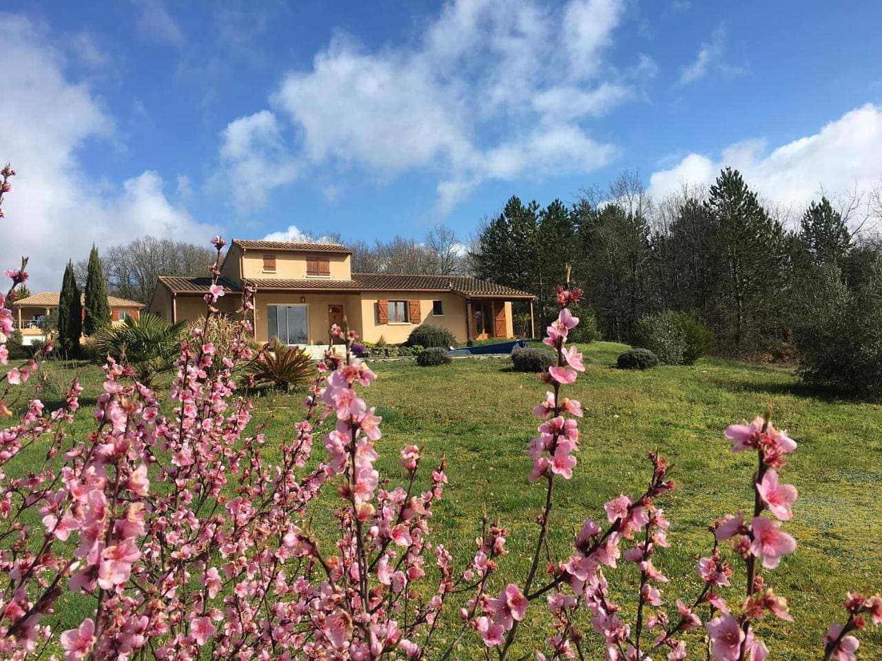 Foto 13 von 32: Holiday Home